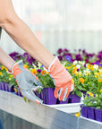 Planter Pink Gloves