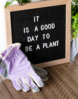 Planter Purple Gloves